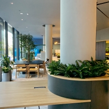 Lobby Plants in Custom Joinery