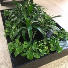 Various Plants in Tambour Units