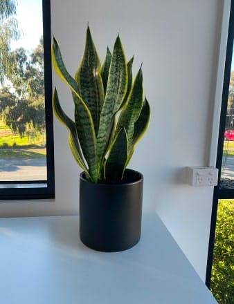 Ceramic Urn Table