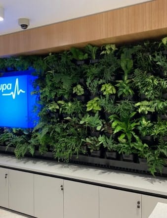 Fully Integrated Plant Wall