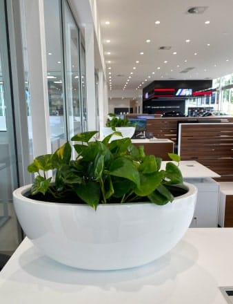 Large Boat Planter