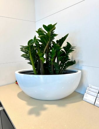 Large Planter