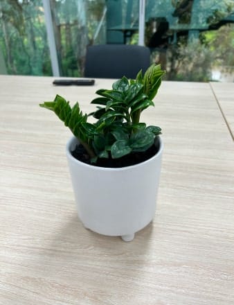 Mini Urn with Legs