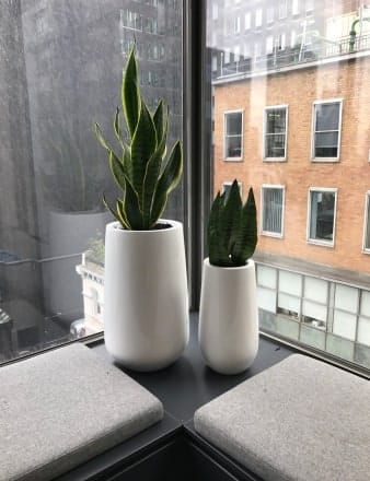 Small Urn Clusters