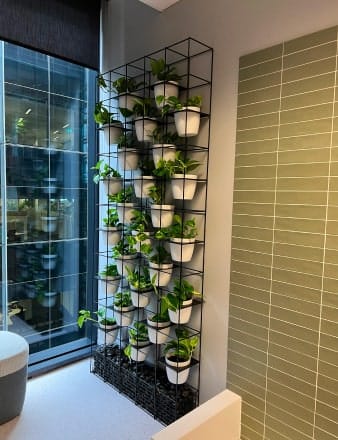 Vertical Wall Frame