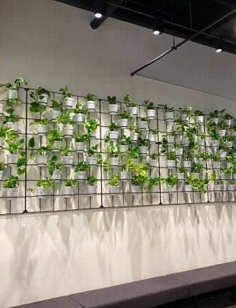 Wall Hung Custom Plant Wall